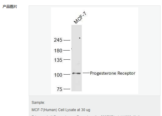 6052b255c41a5.png image.png
