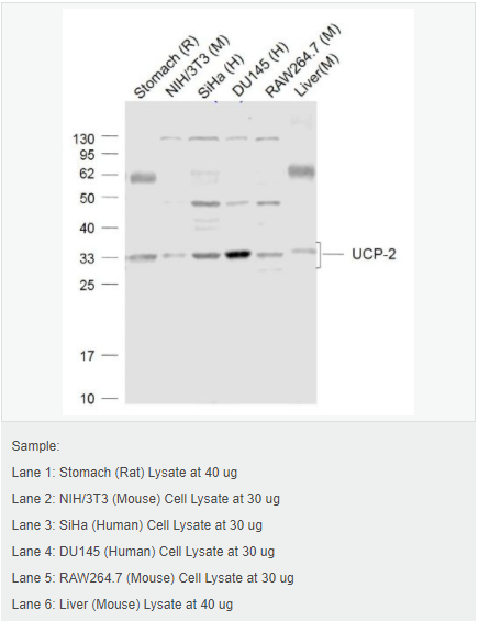 6052be53478d2.png image.png