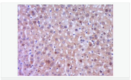 60543fe710e82.png image.png