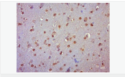 6057fe36c3279.png image.png