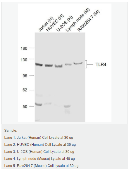 6058044c64378.png image.png