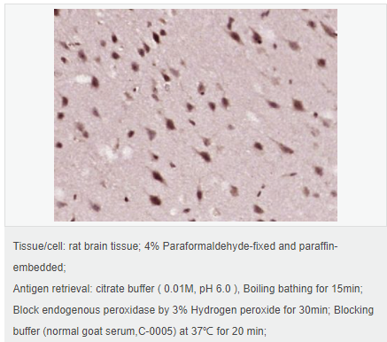 6058359b401b2.png image.png