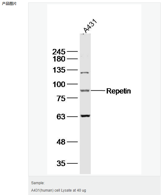 60583bb4c252c.png image.png