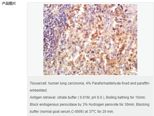 60583c00e4c98.png image.png