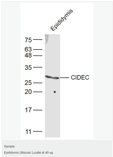 605850193b537.png image.png