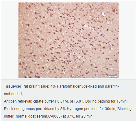 605942b250db2.png image.png