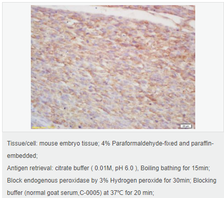 60594ab846c1d.png image.png