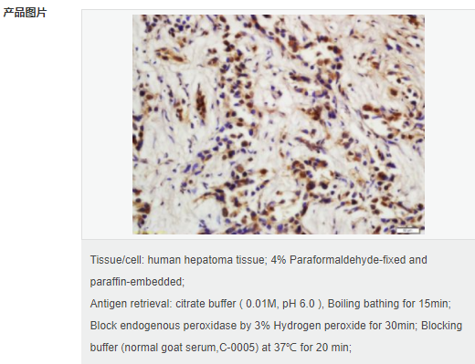 60594b66de45e.png image.png