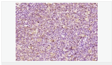 60595f5d3b186.png image.png