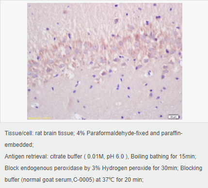 605999f9d9422.png image.png