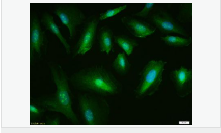 60599a00d1595.png image.png