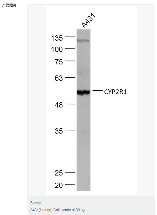 6059a99e13501.png image.png