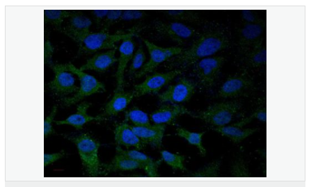 605d77ab68760.png image.png