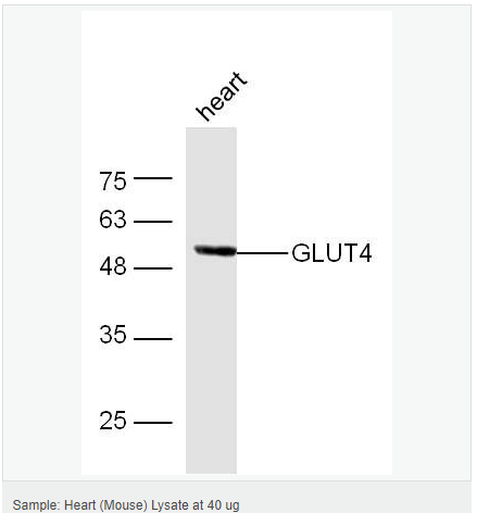 60612cb475b8e.png image.png