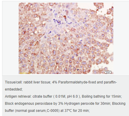 60616b902144f.png image.png