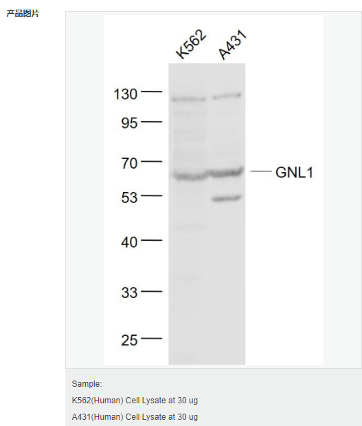 606537843327c.png image.png