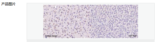 606570eda0262.png image.png