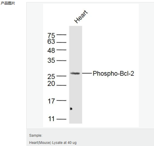 6066ae0f88576.png image.png