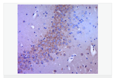 606bcbefbc36a.png image.png