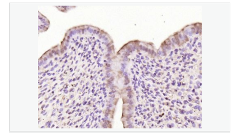 606bce331c6c9.png image.png