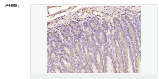 60763eb0cbf2c.png image.png