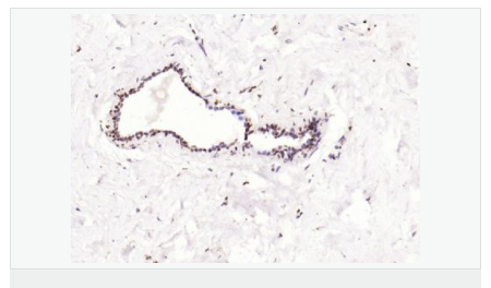 607643c3ddc16.png image.png