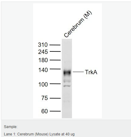 6076476da9eb9.png image.png