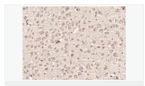 60765cc5b11f1.png image.png