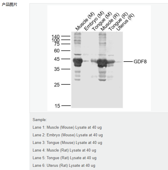 60779766160c0.png image.png