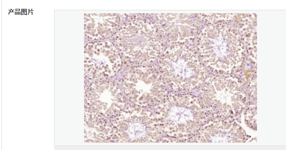 6078e7f865570.png image.png