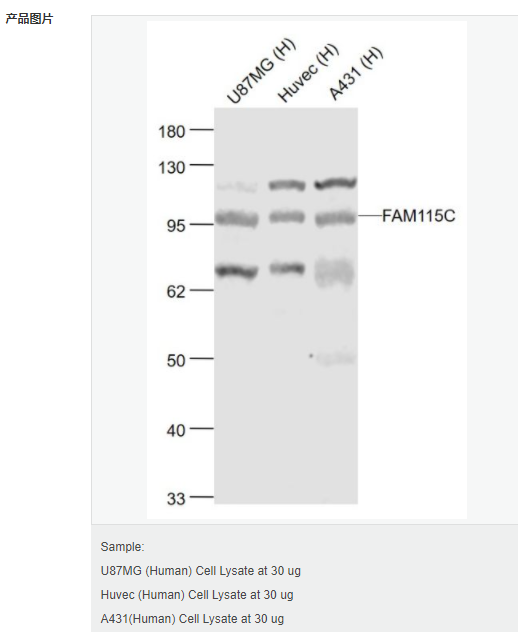 6079573fad8b8.png image.png