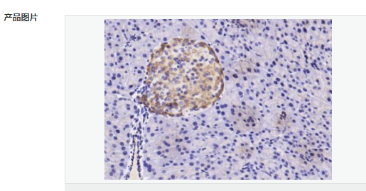 6079584923cc8.png image.png