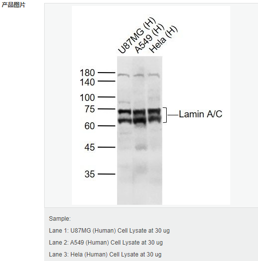 607d1b2c7055d.png image.png