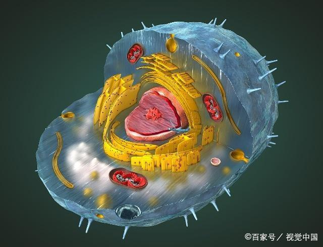 66287023ba176.png 11.png