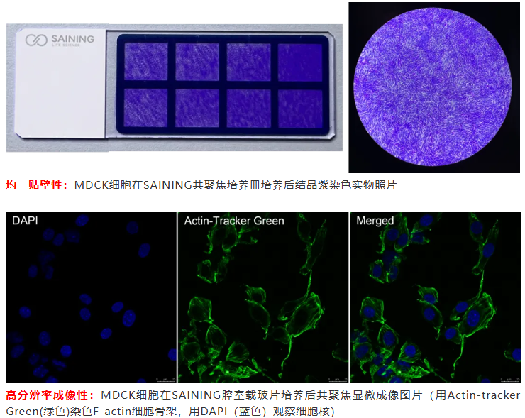 6729d210087c8.png image.png