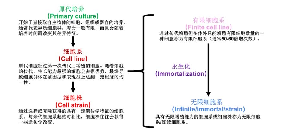 68ea0e578bec1.png image.png